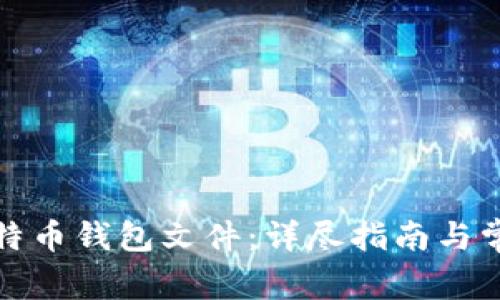 如何打开比特币钱包文件：详尽指南与常见问题解答