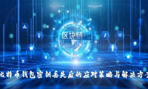 比特币钱包密钥丢失后的应对策略与解决方案
