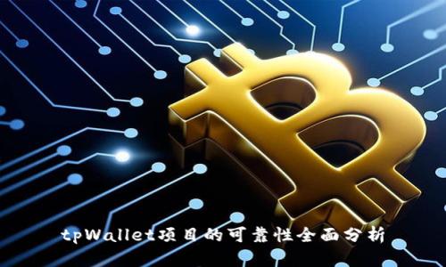 tpWallet项目的可靠性全面分析