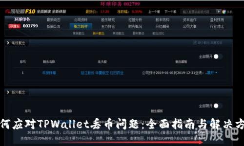 如何应对TPWallet丢币问题：全面指南与解决方案