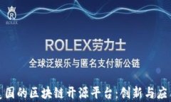 探索美国的区块链开源平