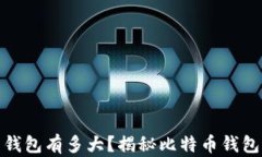 最早的比特币钱包有多大