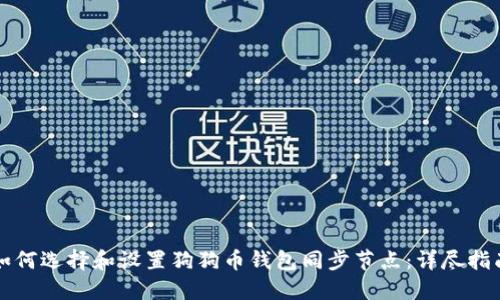 如何选择和设置狗狗币钱包同步节点：详尽指南