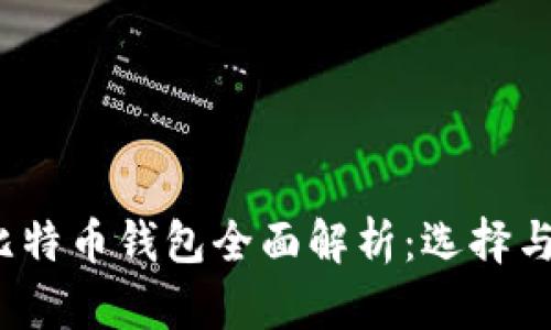 2013年比特币钱包全面解析：选择与使用指南