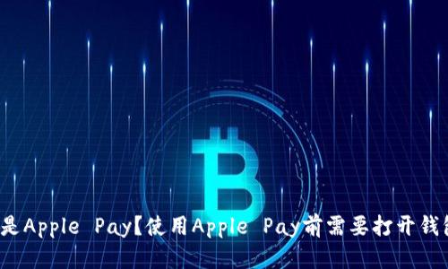 什么是Apple Pay？使用Apple Pay前需要打开钱包吗？
