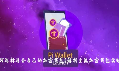 如何选择适合自己的加密钱包？解析主流加密钱包优缺点