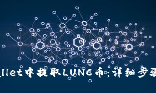 如何在TPWallet中提取LUNC币：详细步骤与注意事项
