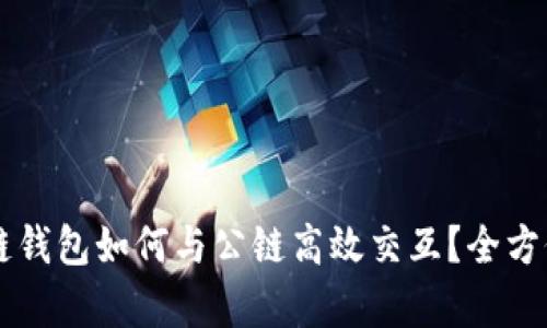 区块链钱包如何与公链高效交互？全方位解析