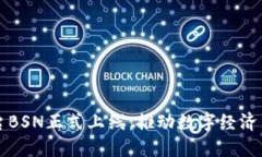 中国区块链平台BSN正式上