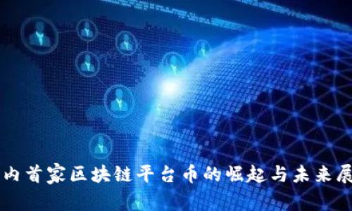 国内首家区块链平台币的崛起与未来展望