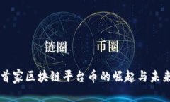 国内首家区块链平台币的