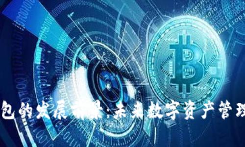 区块链钱包的发展前景：未来数字资产管理的新视角