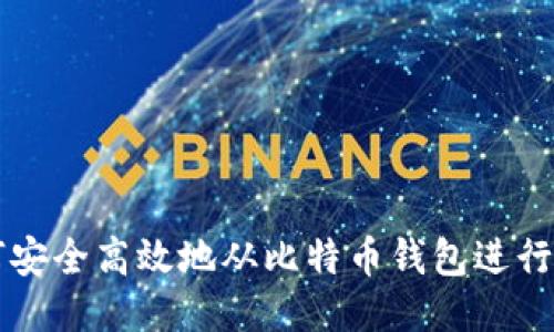 如何安全高效地从比特币钱包进行交易