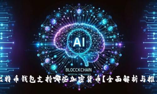 比特币钱包支持哪些加密货币？全面解析与推荐