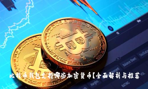 比特币钱包支持哪些加密货币？全面解析与推荐