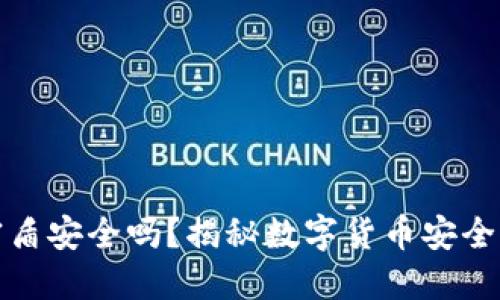 虚拟币钱包密盾安全吗？揭秘数字货币安全性与防护措施