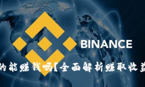 区块链钱包真的能赚钱吗？全面解析赚取收益的方式与风险