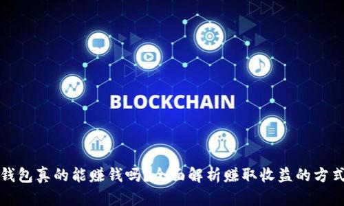 区块链钱包真的能赚钱吗？全面解析赚取收益的方式与风险