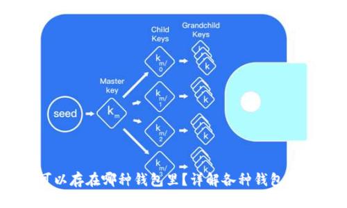 USDT可以存在哪种钱包里？详解各种钱包的优缺点