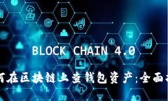 如何在区块链上查钱包资