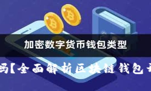 区块链钱包开发难吗？全面解析区块链钱包开发的复杂性与挑战
