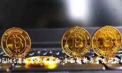tpWallet老版本使用指南：全
