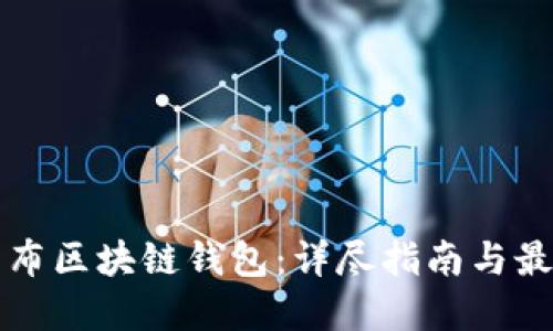 如何发布区块链钱包：详尽指南与最佳实践