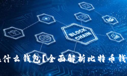 比特币存储在什么钱包？全面解析比特币钱包类型与选择