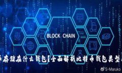 比特币存储在什么钱包？