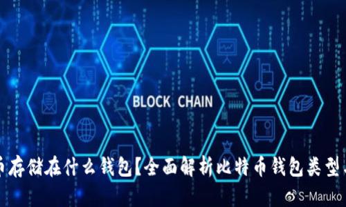 比特币存储在什么钱包？全面解析比特币钱包类型与选择