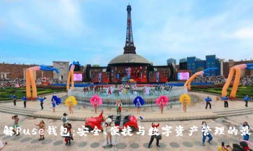 深入了解Puse钱包：安全、便捷与数字资产管理的最佳选择