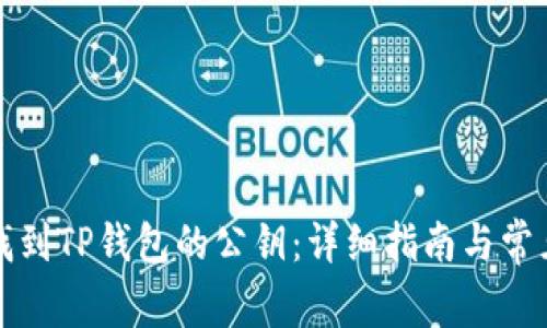 如何找到TP钱包的公钥：详细指南与常见问题