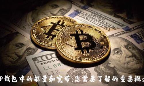   
TP钱包中的能量和宽带：您需要了解的重要概念